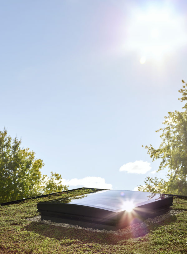 New Generation Curved Glass Rooflight